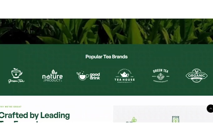 build profitable matcha store green tea website wellness ecommerce store coffee