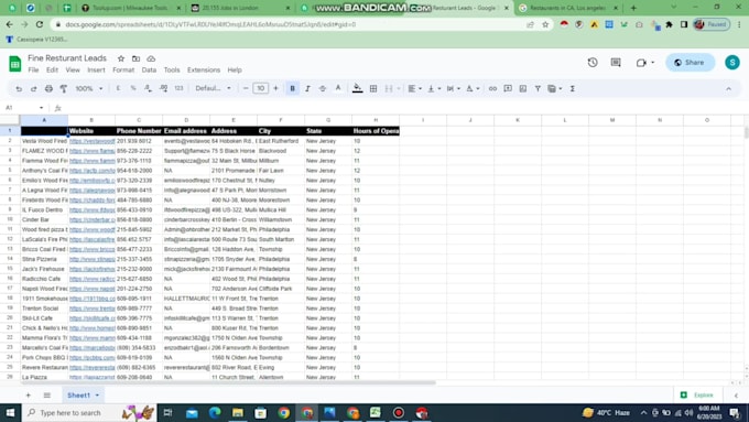 do perfect web scraping, data collection and data extraction from any website