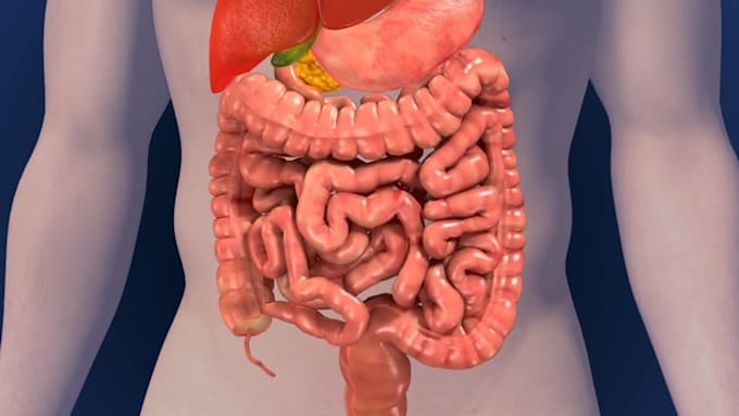 do professional 3d medical animations
