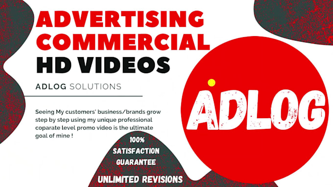 offer professional corporate level promo video services
