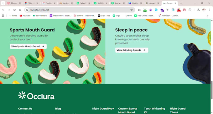 complete project with me vue js and laravel with urgent base