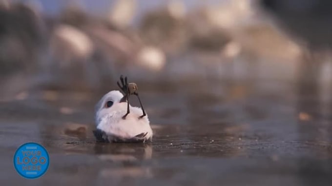 add logo and text in funny bird video