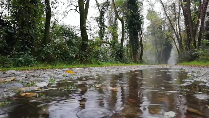 shoot rain forest clouds 4k videos