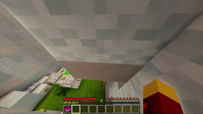 Build a custom minecraft map or world by Gadus_ghl | Fiverr