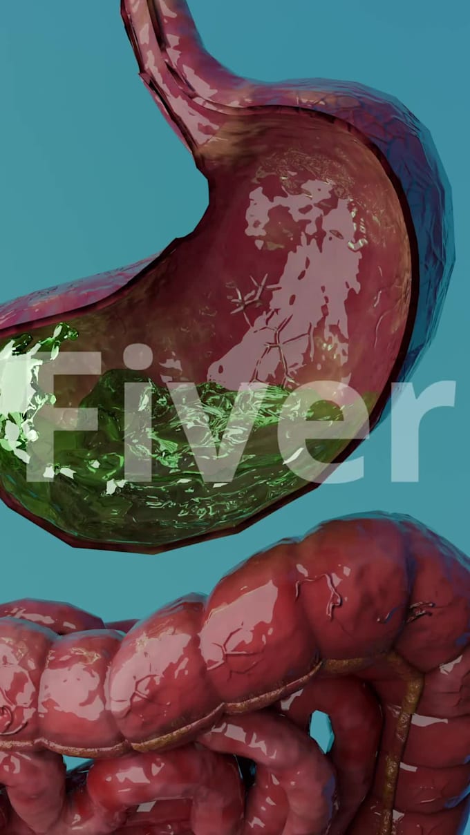 create vivid 3d explainer animations for short form content like zack d films