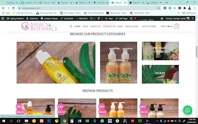 design and customize a wordpress website