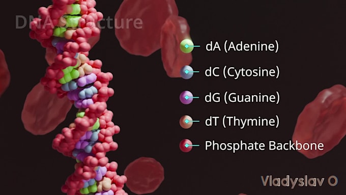 create medical or educational 3d animation