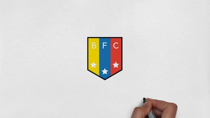 design a beautiful  hand drawn logo