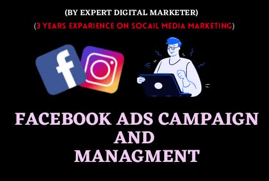 do facebook ads campaign setup and ads management