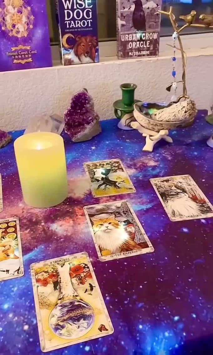 do a psychic dog reading in 24 hours, dog tarot reading in 24 hours