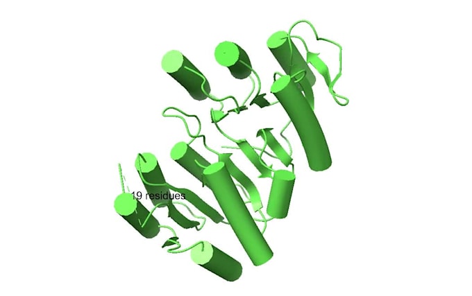 create custom protein homology models and visualizations