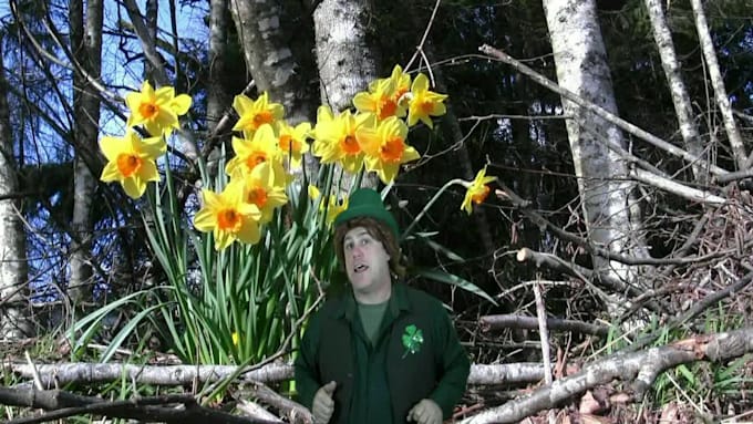 be your magical Leprechaun on video