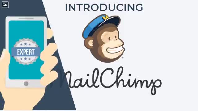 create mailchimp email template add popup form in wordpress