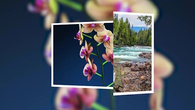 Hot Review! I will create a slideshow of your pictures and videos  for $5