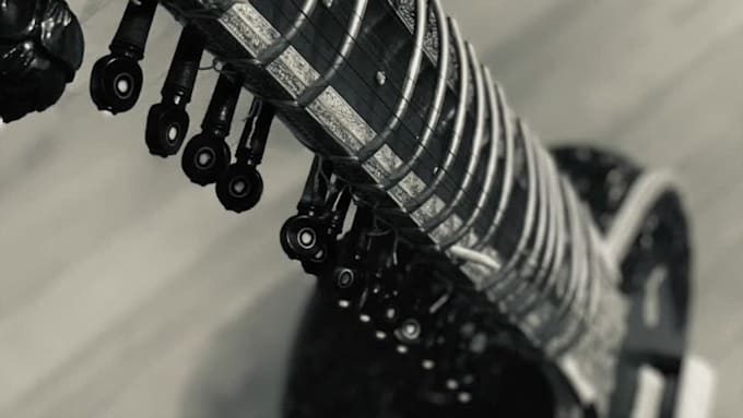 offer professional sitar lessons