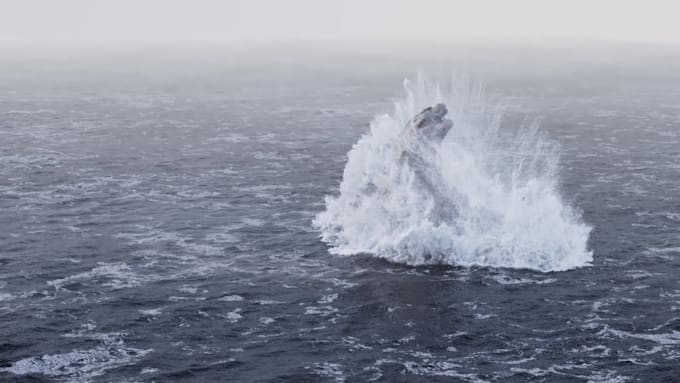 do water and fluid simulations