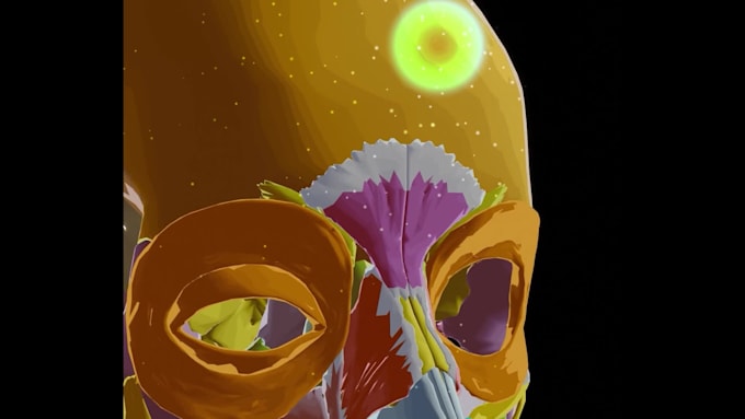 3d medical animation ,3d character animation and 3d product animation