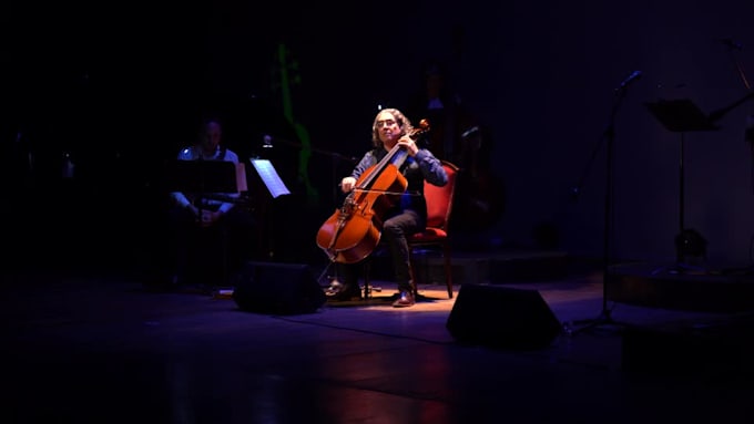 arrange and record the cello tracks to make your song wonderful