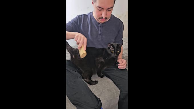 create pet ugc video ads for tiktok, instagram or facebook