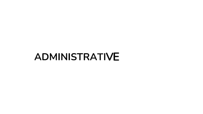 provide organized virtual assistant support for your business