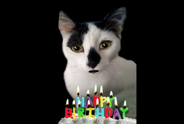 Make A Happy Birthday Dog Or Cat Singing Video By Gooberella