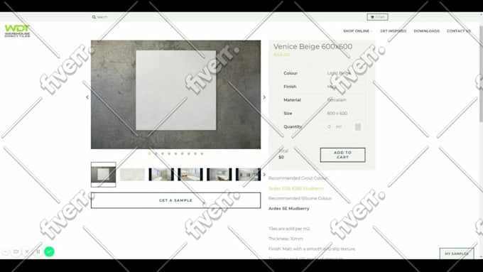 build shopify website for you