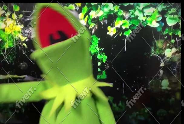 Get kermit to personalize a video birthday greeting and song by Cosby01