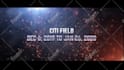 promote logo or text with funny kungfu panda animation video