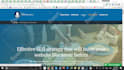 record my voice and screen activity as I give you my opinion about your website