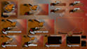 create a professional twitch overlay stream package