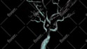 create an abstract audio reactive music video