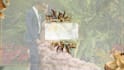 make a very cool invitation to your event photo or video
