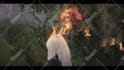do vfx fire, explosion, spark, particles, smoke, magic, etc