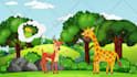 make 3d promotional animated video book trailer for marketing