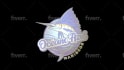 create a 3d rotating logo animation 360 seamless loop