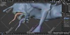 do 3d character rigging professionally in blender