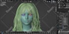 do 3d character rigging professionally in blender