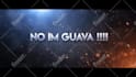 promote logo or text with funny kungfu panda animation video