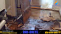 make water damage cleanup video, water damage restoration video ads