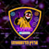 design animated twitch overlay, stream package kick twitch logo, screens alerts