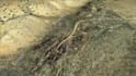 create google earth zoom in and fly overs