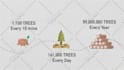 do custom motion graphics, animation, explainer, promo, ad