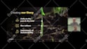 do professional video editing and post production