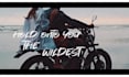 produce a professional storytelling lyric video