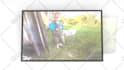create a video slideshow of your pictures
