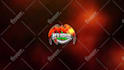 create 10 epic fire logo intro video animation