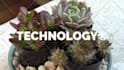 do professional video editing and post production in a day