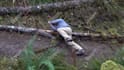 do professional vfx and cgi effects