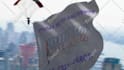 skydive with your flag