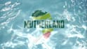 create a promo video with your logo in swimming pool